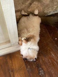 中村江里子『久しぶり・・・』