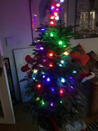 LiLiCo『牛メイクへの道❣️そして人間に戻る❤️』