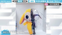 普段見られない着ぐるみの中がわかる…中の人が慌ただしく動く姿に「まじで大変そう」「働きを労おう」の声