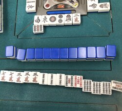 麻雀を覚えて1週間　中川翔子が役満・四暗刻を成就！「ビギナーズラックこわい」