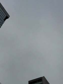  堀ちえみ、約2時間のインプラント治療を受けたことを報告「ネジを埋め込む工事」 