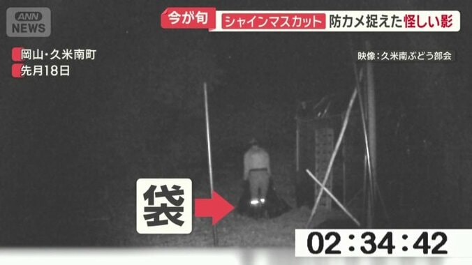 黒っぽい袋を運ぶ