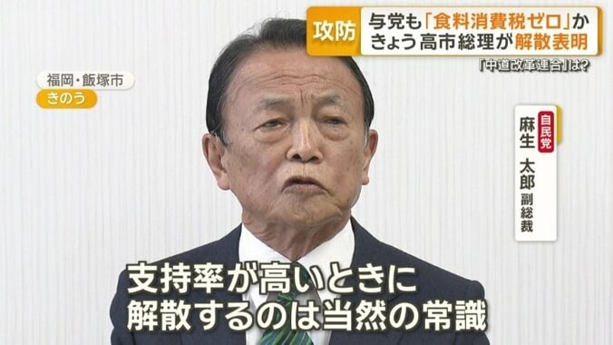 自民党の麻生太郎副総裁