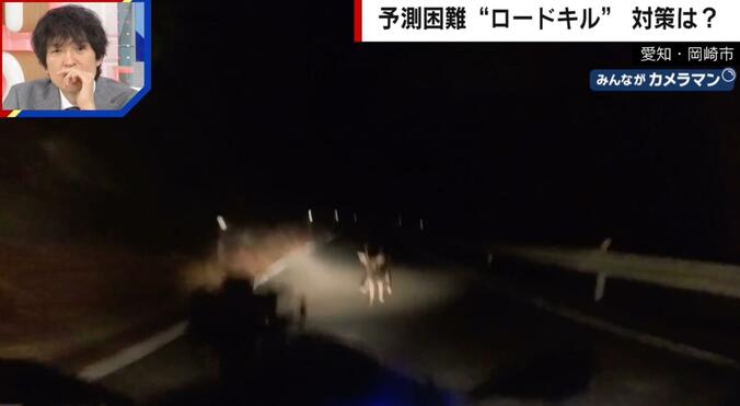 シカ（愛知・岡崎市）