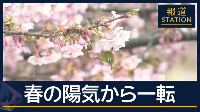 「東京23区でも積雪の可能性」気象庁が注意呼びかけ　春の陽気から一転“三寒四温” 1枚目