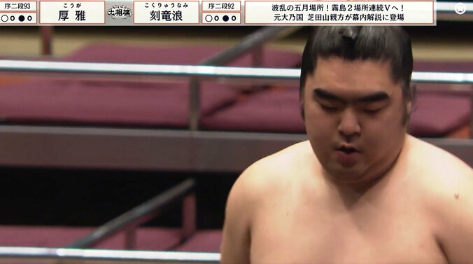 「すごい立派な眉毛」20歳の若手力士、“超キリリ”顔に反響 連続ズームに「表情アップ助かる」ファン歓喜 4枚目