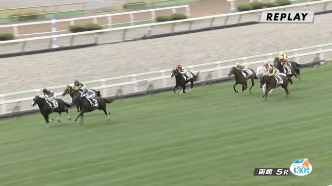 【映像】芝のレースで“ひと際目立つ”愛らしい白毛馬