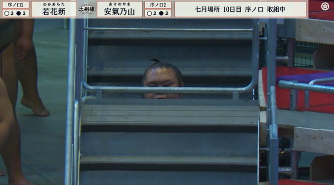 「隙間から千代丸たんw」元人気力士、まさかの場所に“ひょっこり”登場 中継カメラが捉えた“じわる”瞬間が話題 3枚目