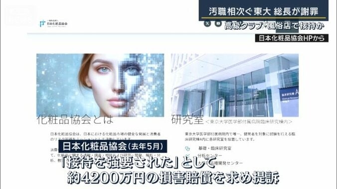 日本化粧品協会HPから