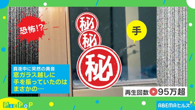 真夜中の恐怖！窓ガラス越しに手を振る“まさかの来客” 「絶叫して気絶する」「暑すぎて家に入りたいらしい」 1枚目