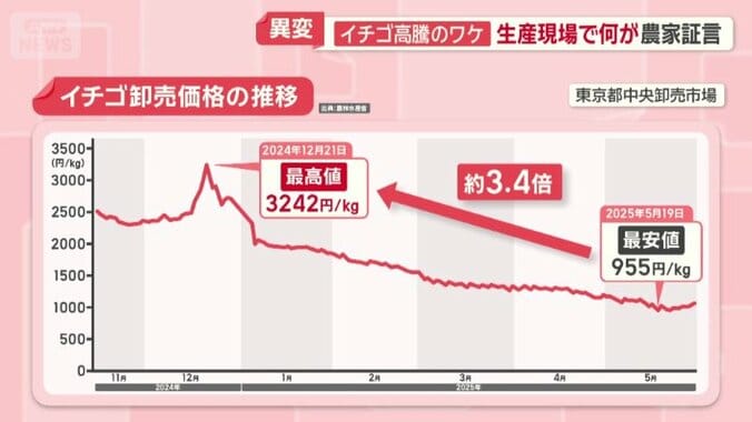 3.4倍もの高値