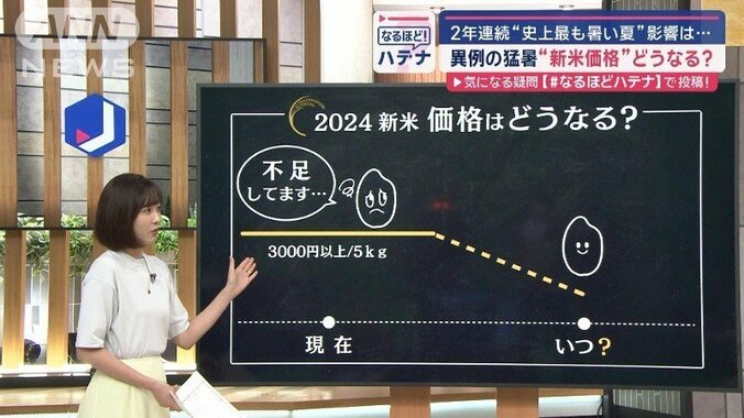 異例の猛暑、新米価格どうなる？　専門家の予想　2年連続「史上最も暑い夏」の影響 1枚目