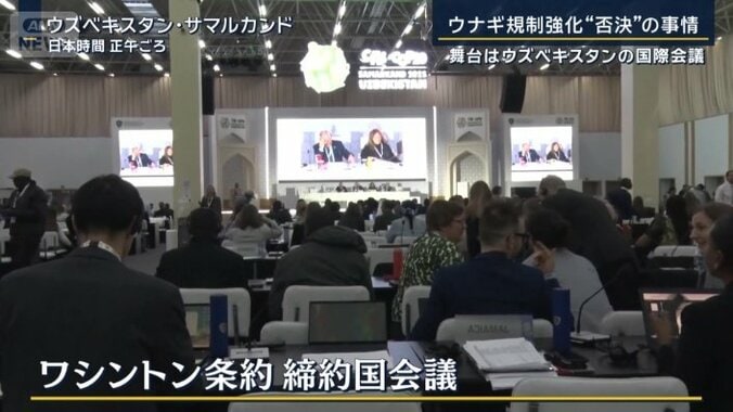 ワシントン条約　締約国会議