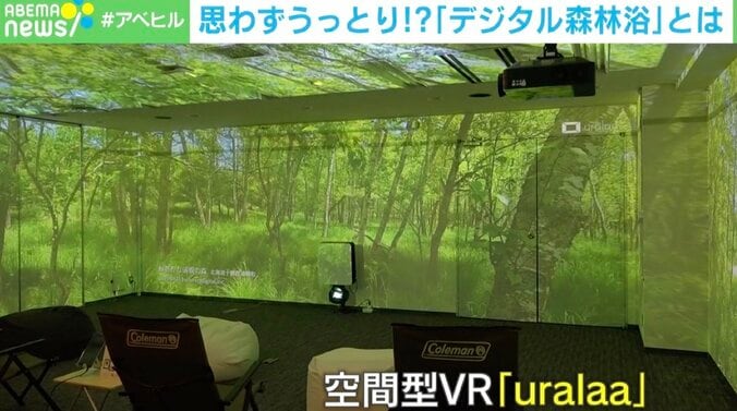 「耳で癒され、目でリラックス」“ぼーっとする時間”を獲得できる 「デジタル森林浴」とは？ 1枚目