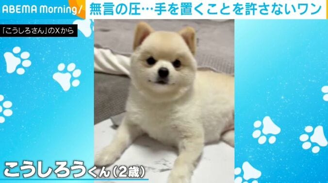 2歳のこうしろうくん