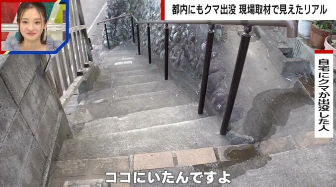 野生のクマが現れた自宅の様子