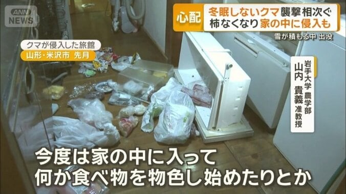 クマの行動にさらなる注意が必要