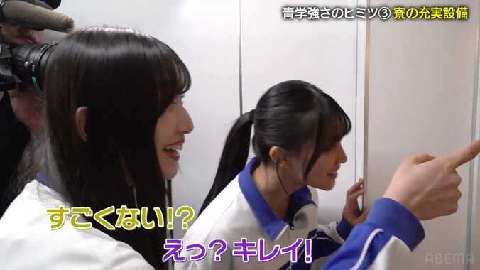 【写真・画像】　1枚目