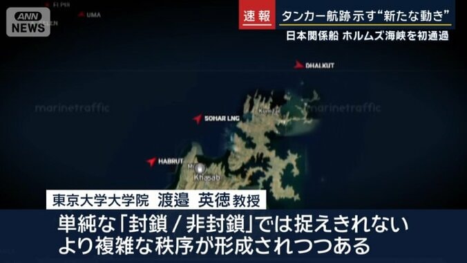 東京大学大学院・渡邉英徳教授