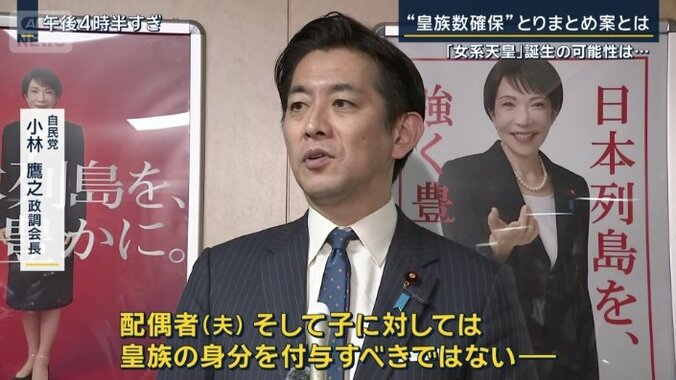 自民党　小林鷹之政調会長