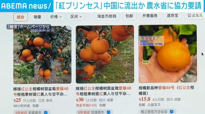 中国のサイト