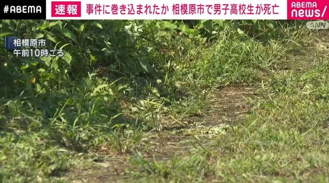 神奈川・相模原市