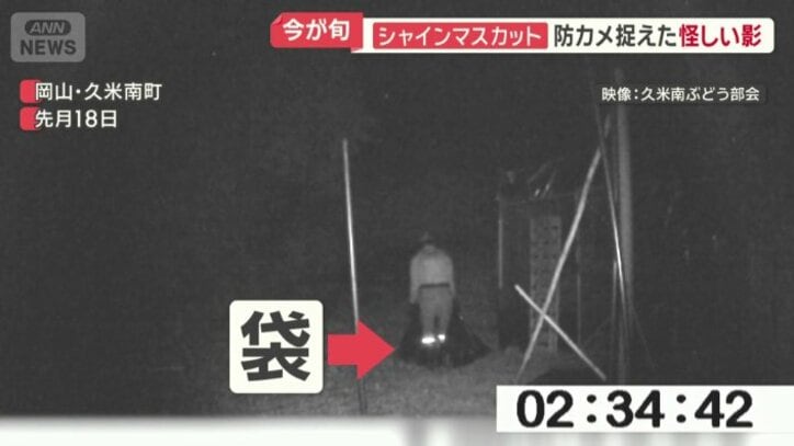 黒っぽい袋を運ぶ