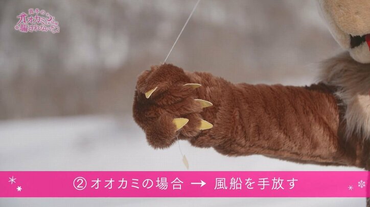 遂にオオカミくんが明らかに…意外すぎる人物に横澤夏子ら激震！さらに告白が成功した女子に拍手喝采