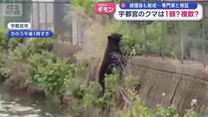 川の岸壁をよじのぼる