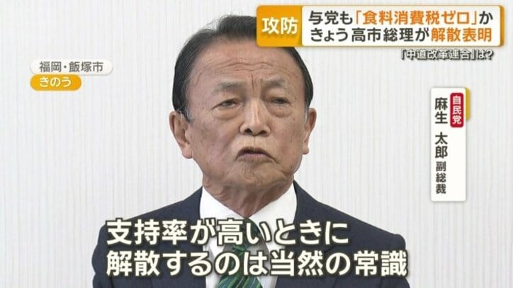 自民党の麻生太郎副総裁