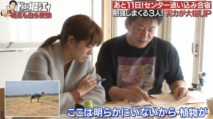 堀江貴文の“凄まじい集中力”を現役東大生が絶賛「化け物ですね」