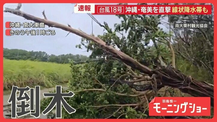 台風18号沖縄・奄美直撃 線状降水帯も 根元から折れる標識 観測史上1位の猛烈な風