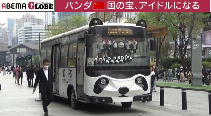 【写真・画像】中国で空前のパンダブーム？“パンダ外交”の意外な歴史とは？記者が解説「年間のレンタル料は約1億5000万円」　2枚目