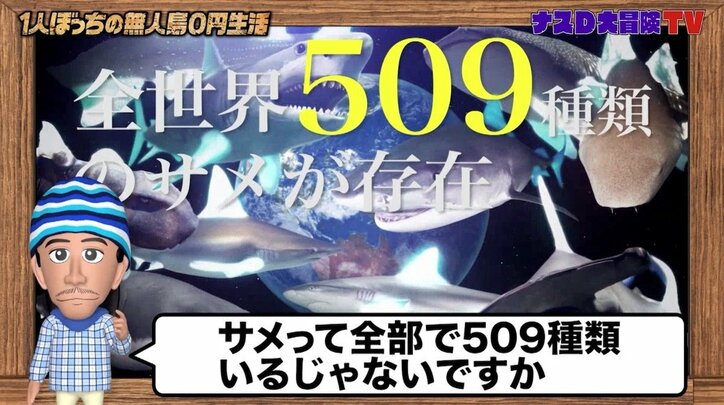 サメの天敵はシャチではなく…ナスD「毎年日本人の人口ぐらいのサメが、人間によって殺されている」