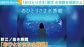 「コロナ禍で行くのを自粛していたという声が多く…」 新江ノ島水族館が提案する「おひとりさま水族館」