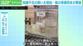 「テレビやSNSで見るような“映え”は起きない」 安易な気持ちで小鳥購入、知識不足の飼い主増加に保護団体が警鐘