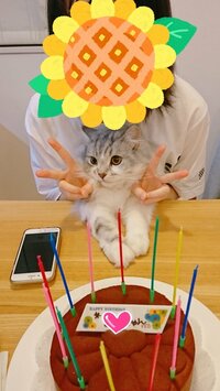 細川直美『BIRTHDAY CAKE』