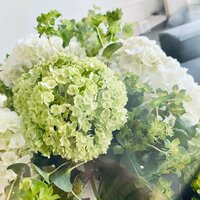 稲垣吾郎『スカーレット』