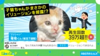 【映像】ケージの中の子猫が脱出する一部始終(最後の表情にも注目)