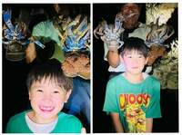 ココリコ遠藤嫁『すごい』