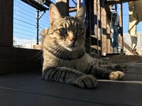 坂上忍『今年のおじさんの目標？』