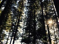 有村架純『茨城へ。』