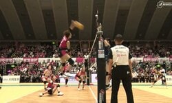 女子バレー、選手が鼻に詰め物姿でコートへ…カメラが捉えた珍光景 花粉症の影響か？