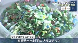 富士山頂の「雲」から「マイクロプラスチック」を採取 暮らしへの影響と私たちにできることとは？