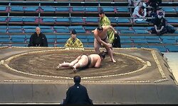 大相撲序二段ですごい“珍手” 「初めて聞いたわ」決まり手の訂正にファン騒然 