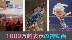 「プロレス女子の“超速回転技”」「ゼルダ 剣が抜刀できない…」「食品保存袋の“空気”抜き方」「クレーンゲームの“珍事”」反響を集めた“1000万件超表示の神動画”4選