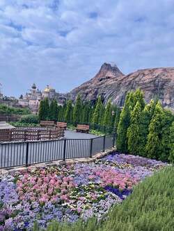  料理研究家、TDSで『ディズニー・プレミアアクセス』を購入するため朝5時に到着した結果「自分史上最速」 