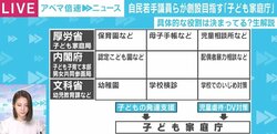 「縦割り行政打破で事故や虐待から子どもを救いたい」 子ども政策の一元化を目指す「子ども家庭庁」の実現性は
