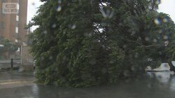 台風6号　沖縄直撃で停電や倒木被害　初のレベル3大雨警報発表　本州も警報級大雨警戒