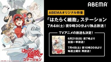 はたらく細胞」TVアニメ第1期の再放送決定！ ABEMA特番に花澤香菜